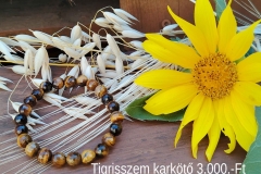 IMG_20260710_102531
